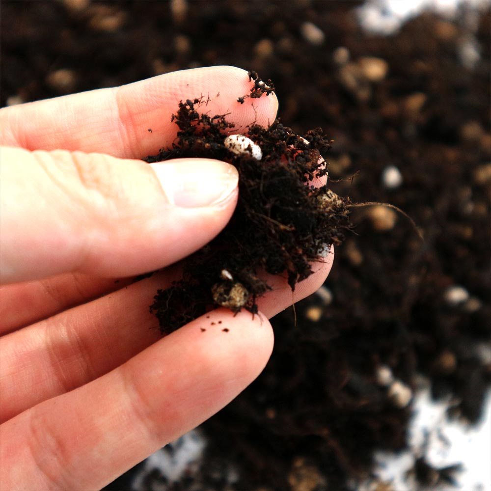 野菜・ハーブ用 培養土 野菜を美味しく育てる培養土【25L袋／1個】