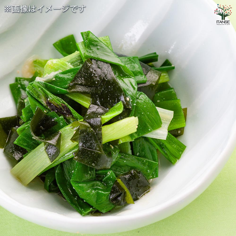 分葱(わけぎ) 種球根【ネット詰め野菜球根 充填時200g/1袋】