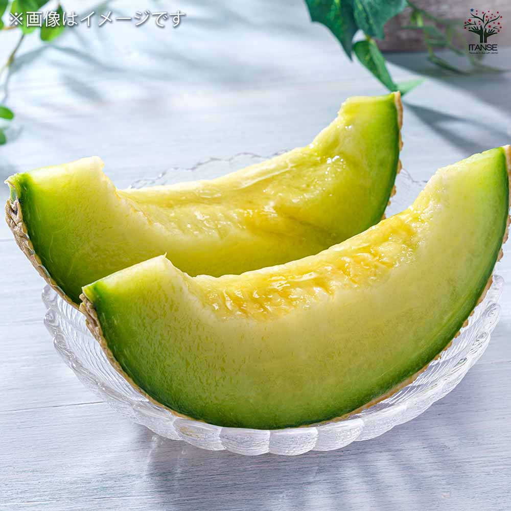 メロンの苗 追熟のいらないメロン2個～ 【野菜の苗 3号】