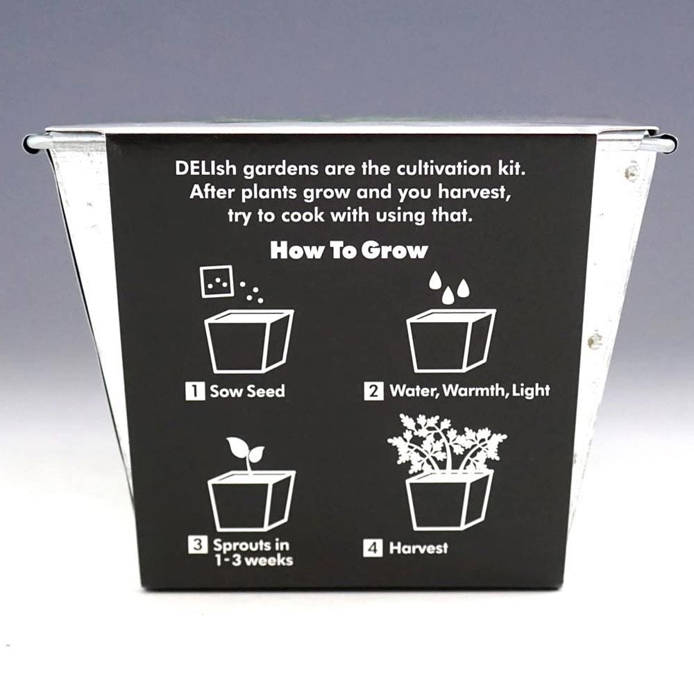 デリッシュガーデン パクチー【栽培キット/1個】