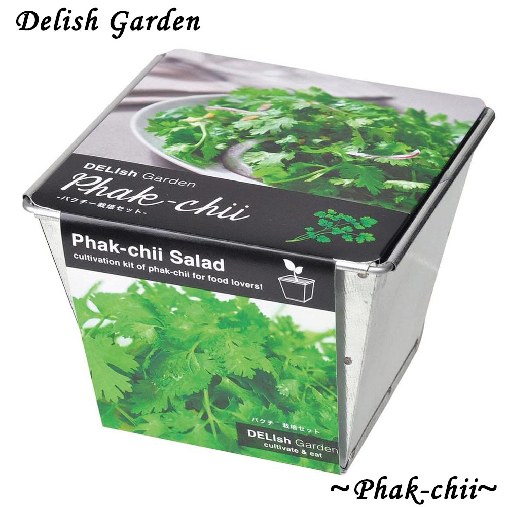 デリッシュガーデン パクチー【栽培キット/1個】
