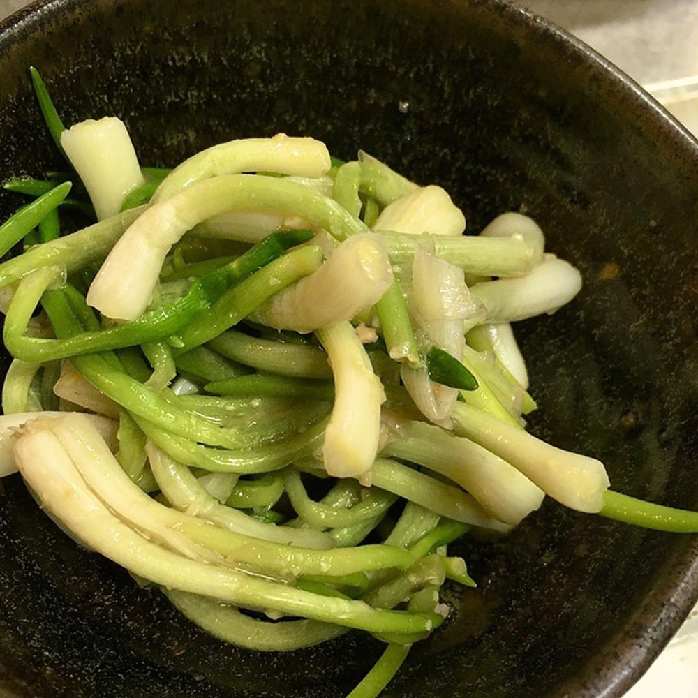 あさつき 種球根【ネット詰め野菜球根 充填時200g／1袋】