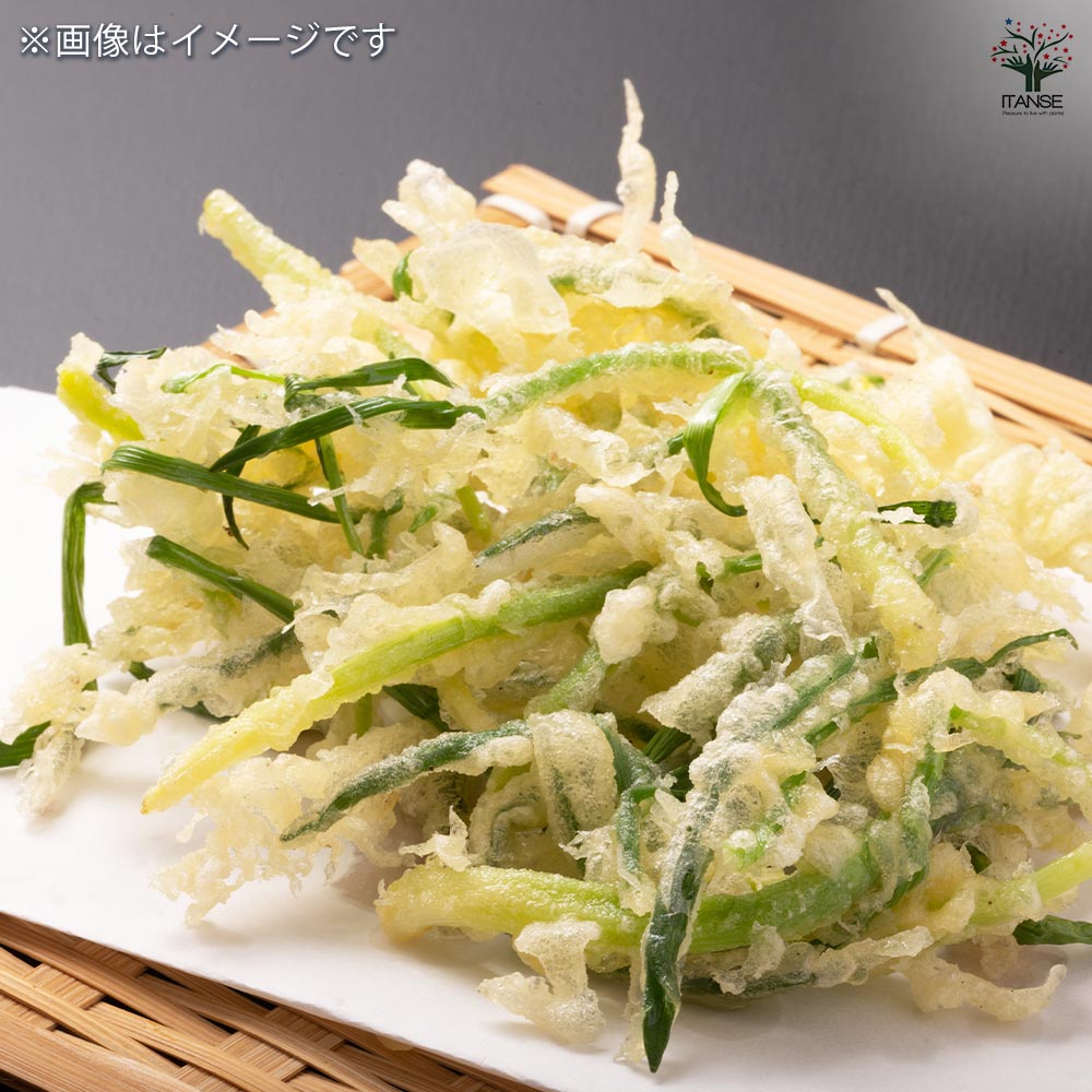 あさつき 種球根【ネット詰め野菜球根 充填時200g／1袋】