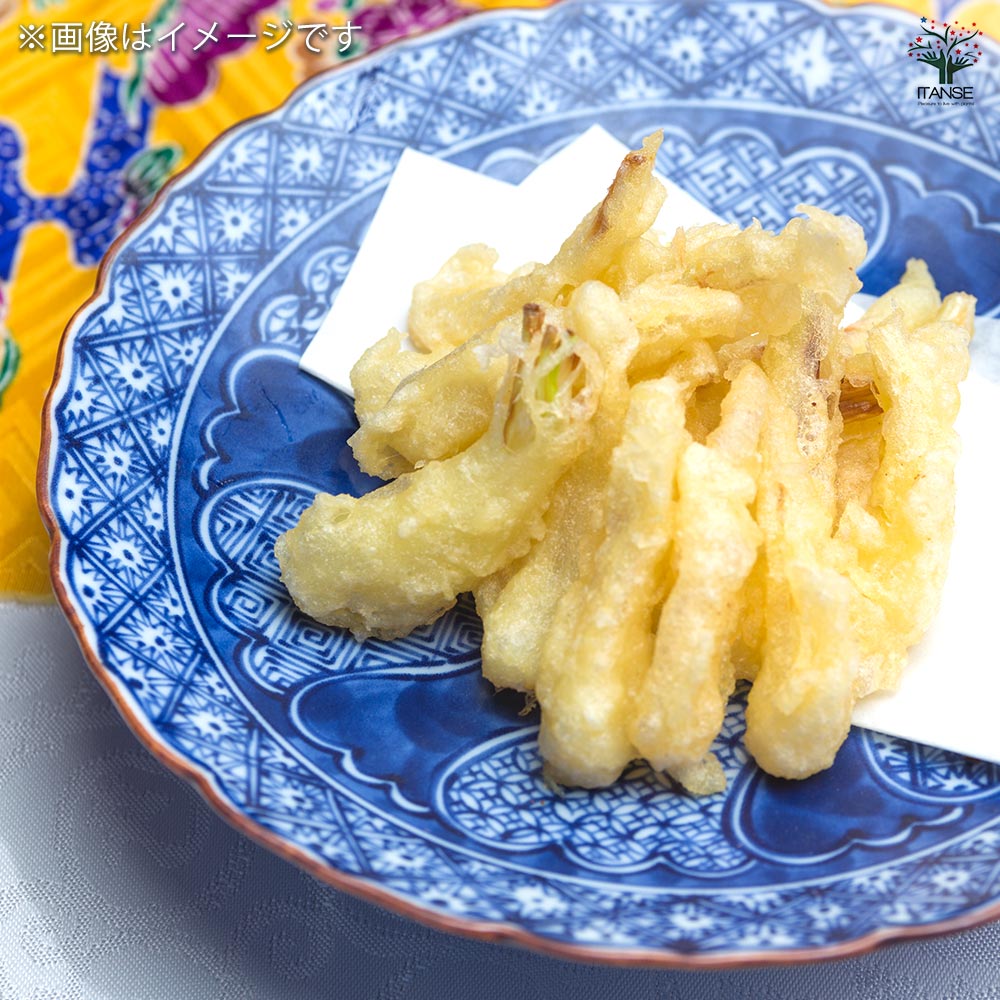 らっきょう種球根 島らっきょう【野菜の苗 ネット詰め野菜球根 充填時120g/1袋/1個売り】