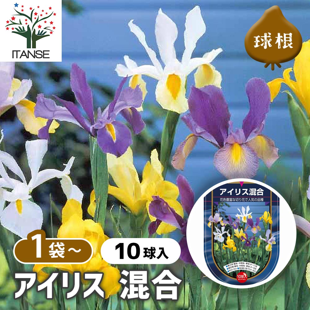 アイリス 混合