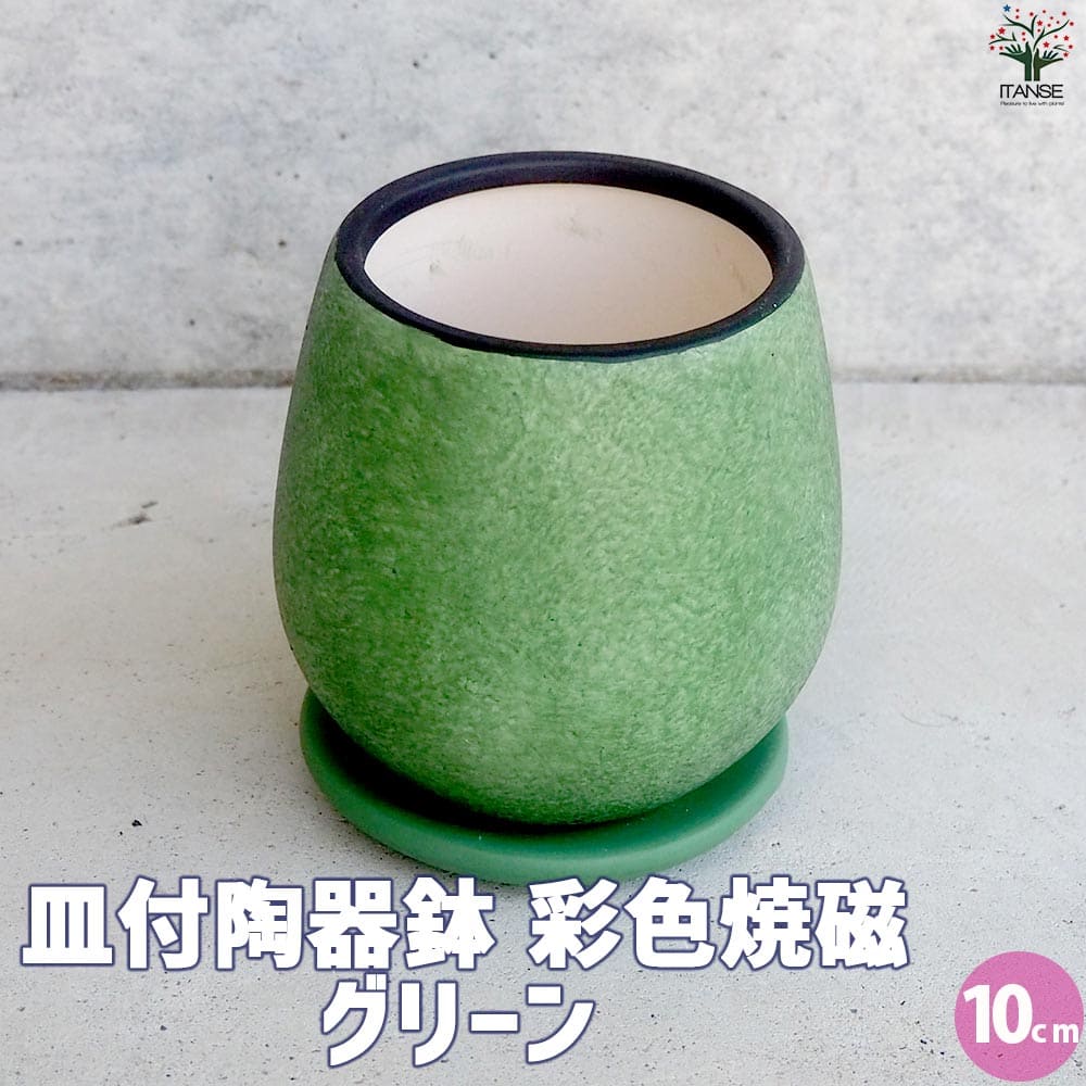 皿付陶器鉢 彩色焼磁 グリーン【資材 10cm】