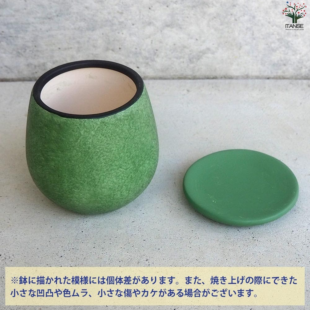 皿付陶器鉢 彩色焼磁 グリーン【資材 10cm】