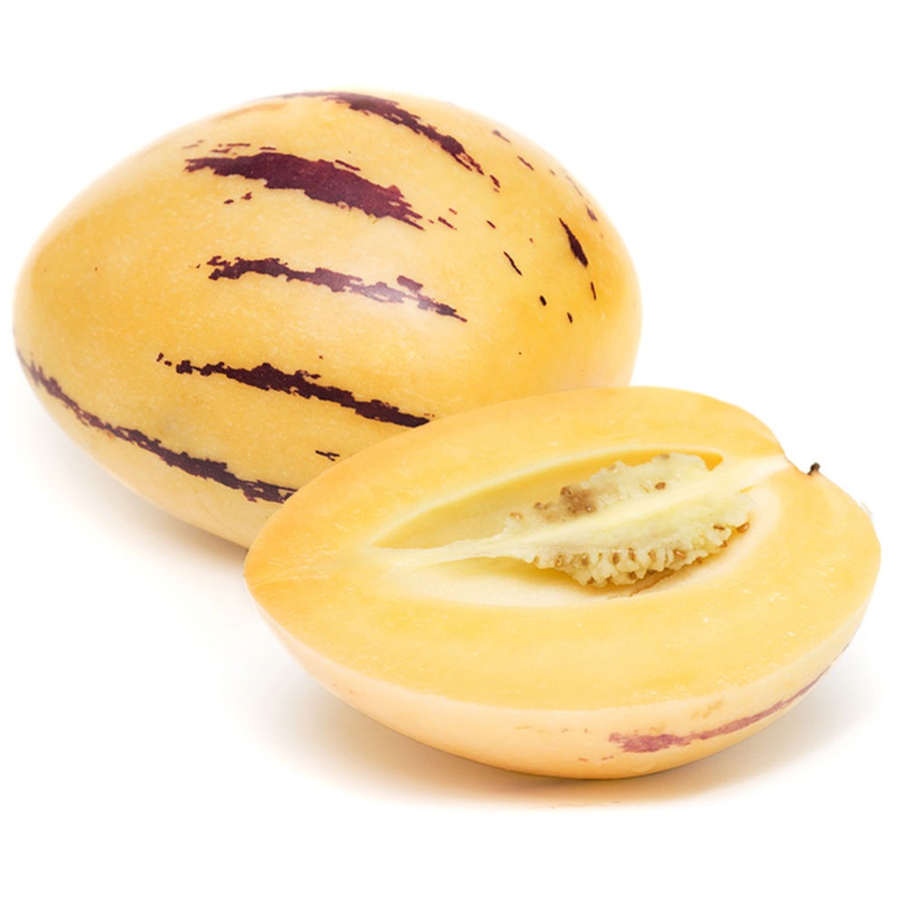 ペピーノ　苗　果実　沖縄フルーツ　植物・果樹・食用 ペピーノ 苗 果実 沖縄フルーツ 植物・果樹・食用 楽天市場】ペピーノ