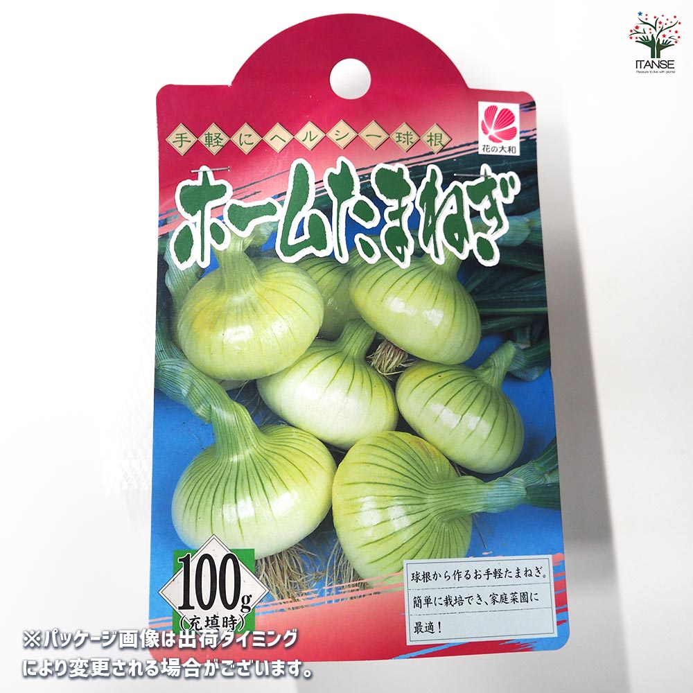 ホームたまねぎ 種球根【ネット詰め野菜球根 充填時100g/1袋】