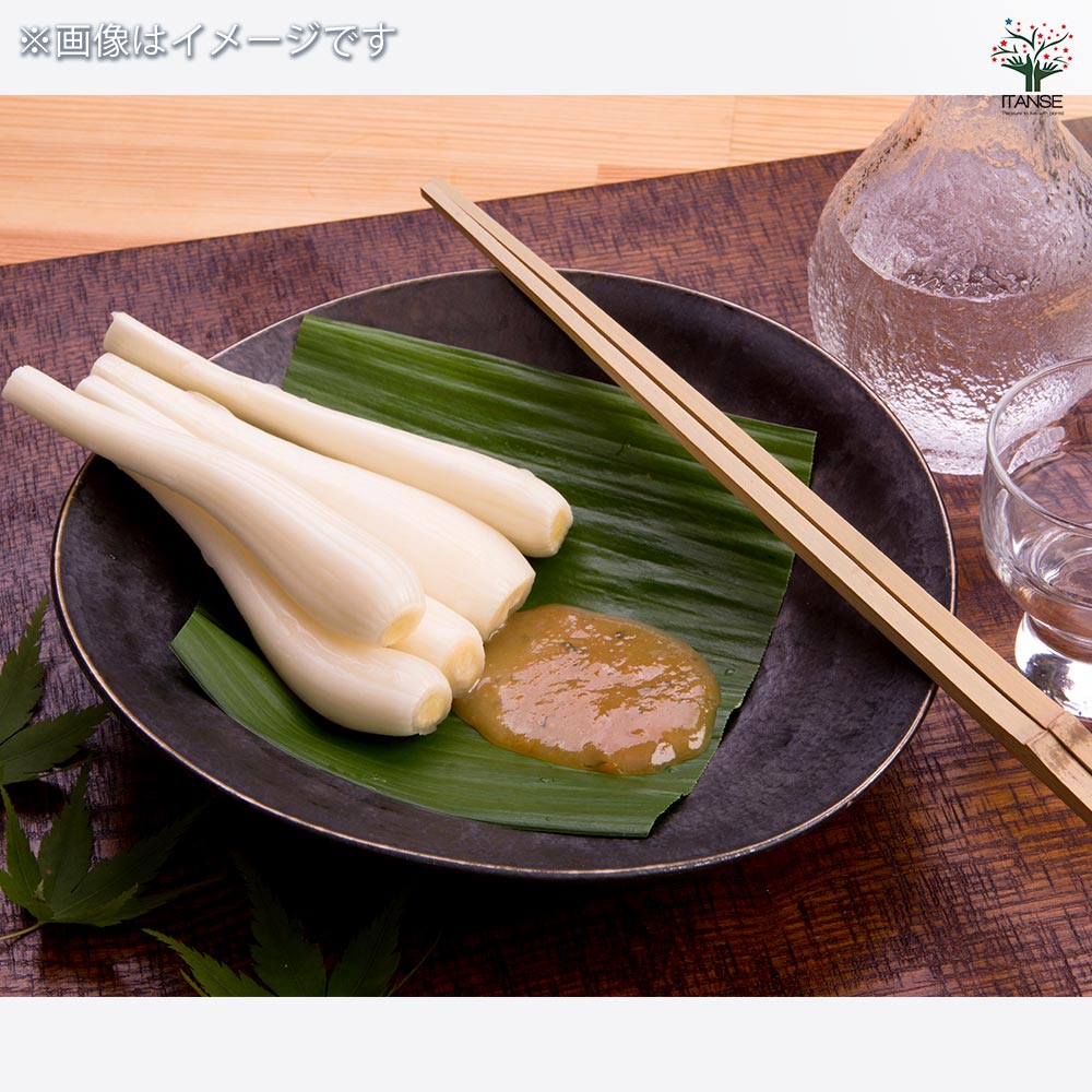 健康野菜球根 エシャレット【野菜の苗 ネット詰め野菜球根 充填時200g/1袋/1個売り】