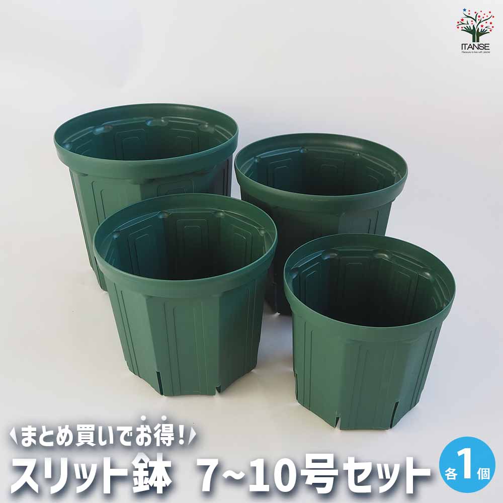 スリット鉢 中サイズ4種類セット 【資材 7～10号／各1個(合計4個