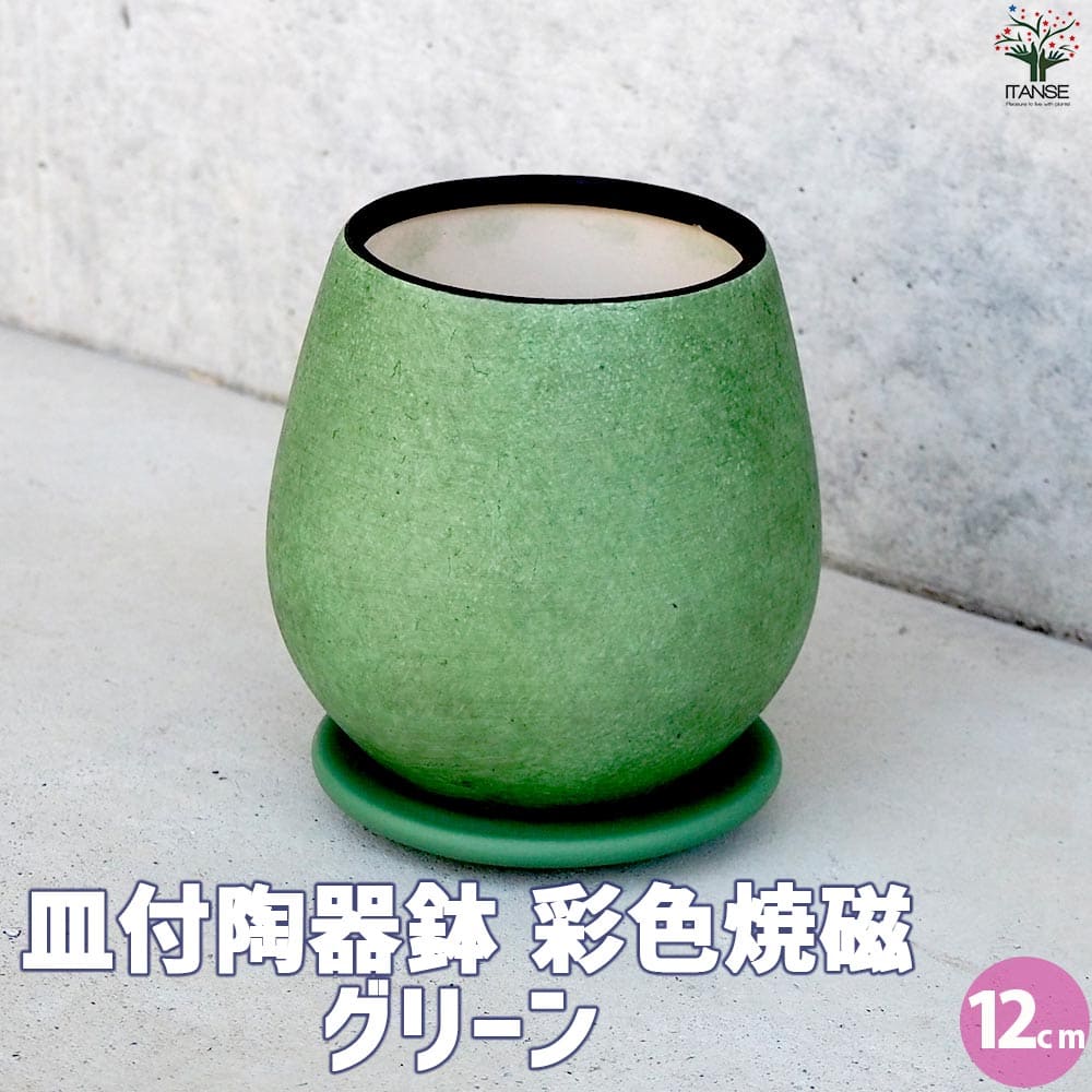 皿付陶器鉢 彩色焼磁 グリーン【資材 12cm】