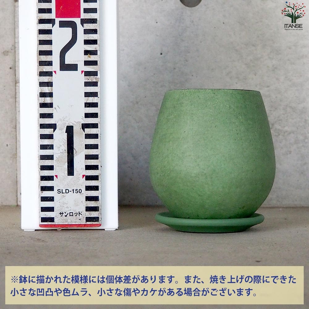 皿付陶器鉢 彩色焼磁 グリーン【資材 12cm】