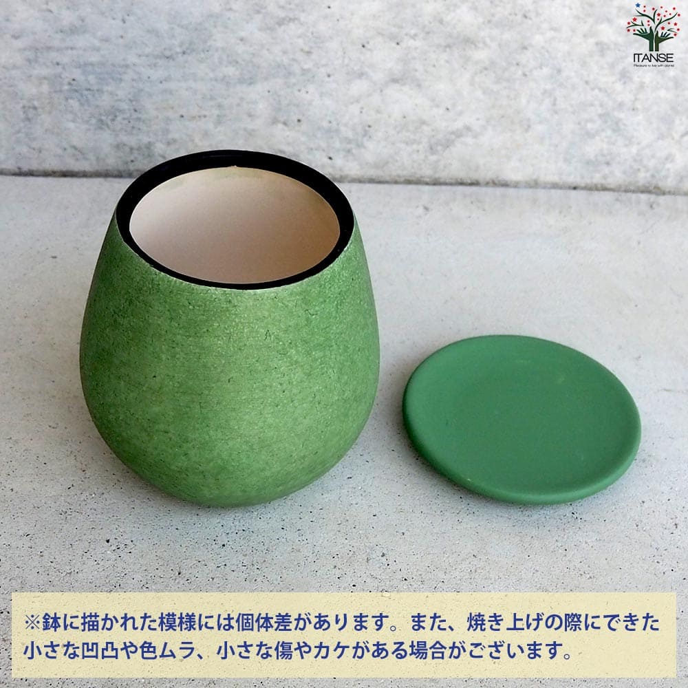 皿付陶器鉢 彩色焼磁 グリーン【資材 12cm】