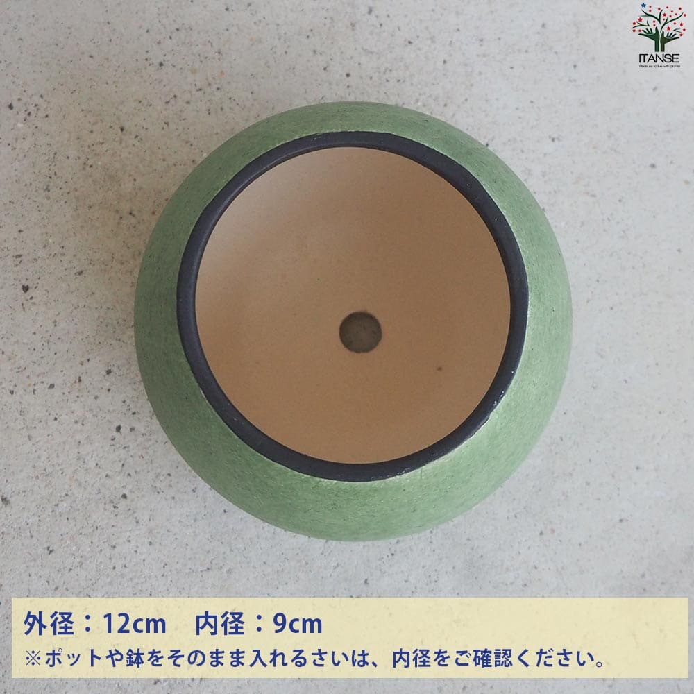 皿付陶器鉢 彩色焼磁 グリーン【資材 12cm】