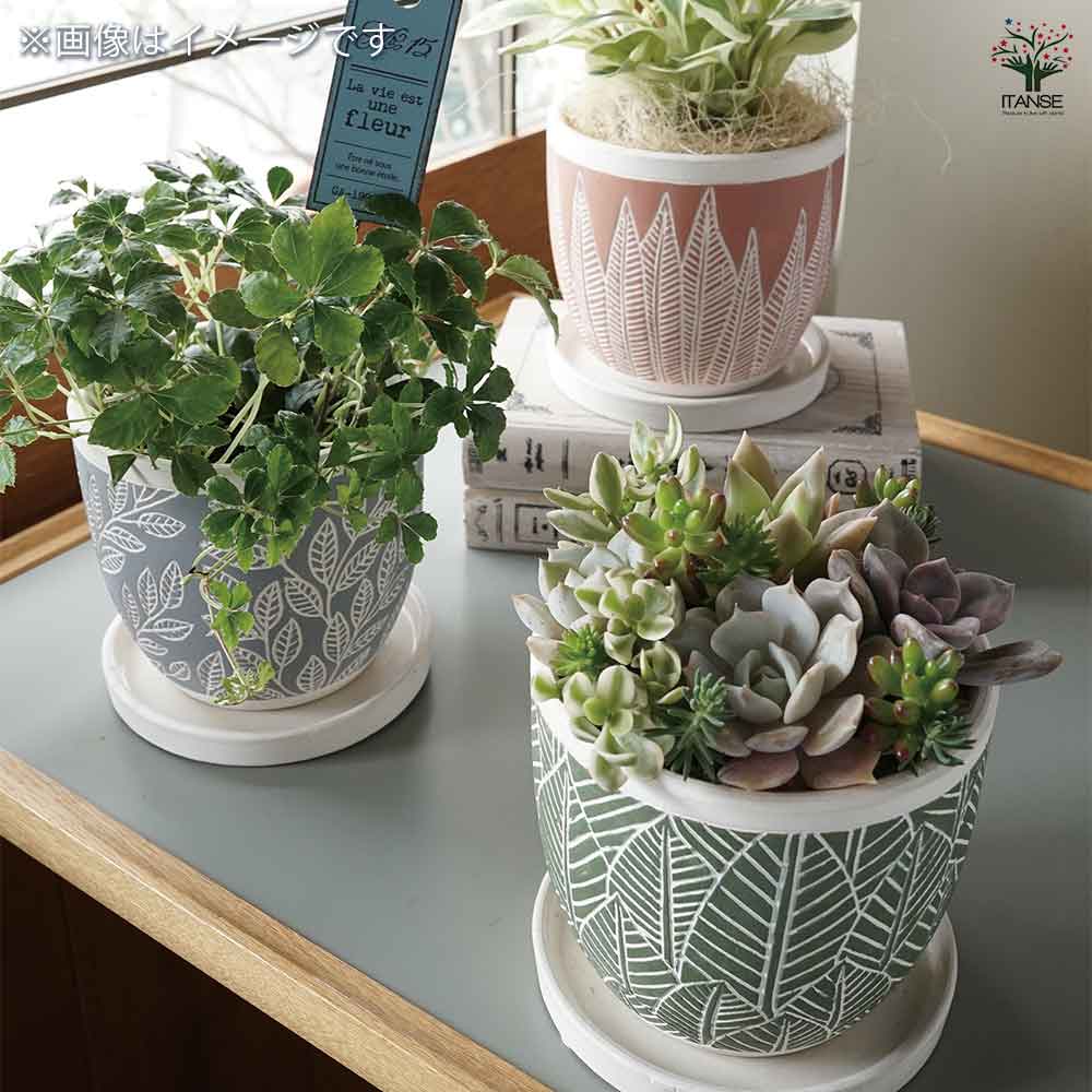 新品未使用 【Anthropologie】アンソロポロジー 陶器鉢 プランター 2025年最新】Anthropologie 鉢・プランターの人気アイテム - メルカリ