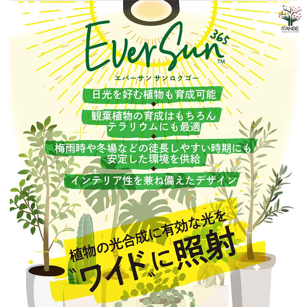 植物育成用ライト エバーサン365(サンロクゴー) 黒&スタンドセット