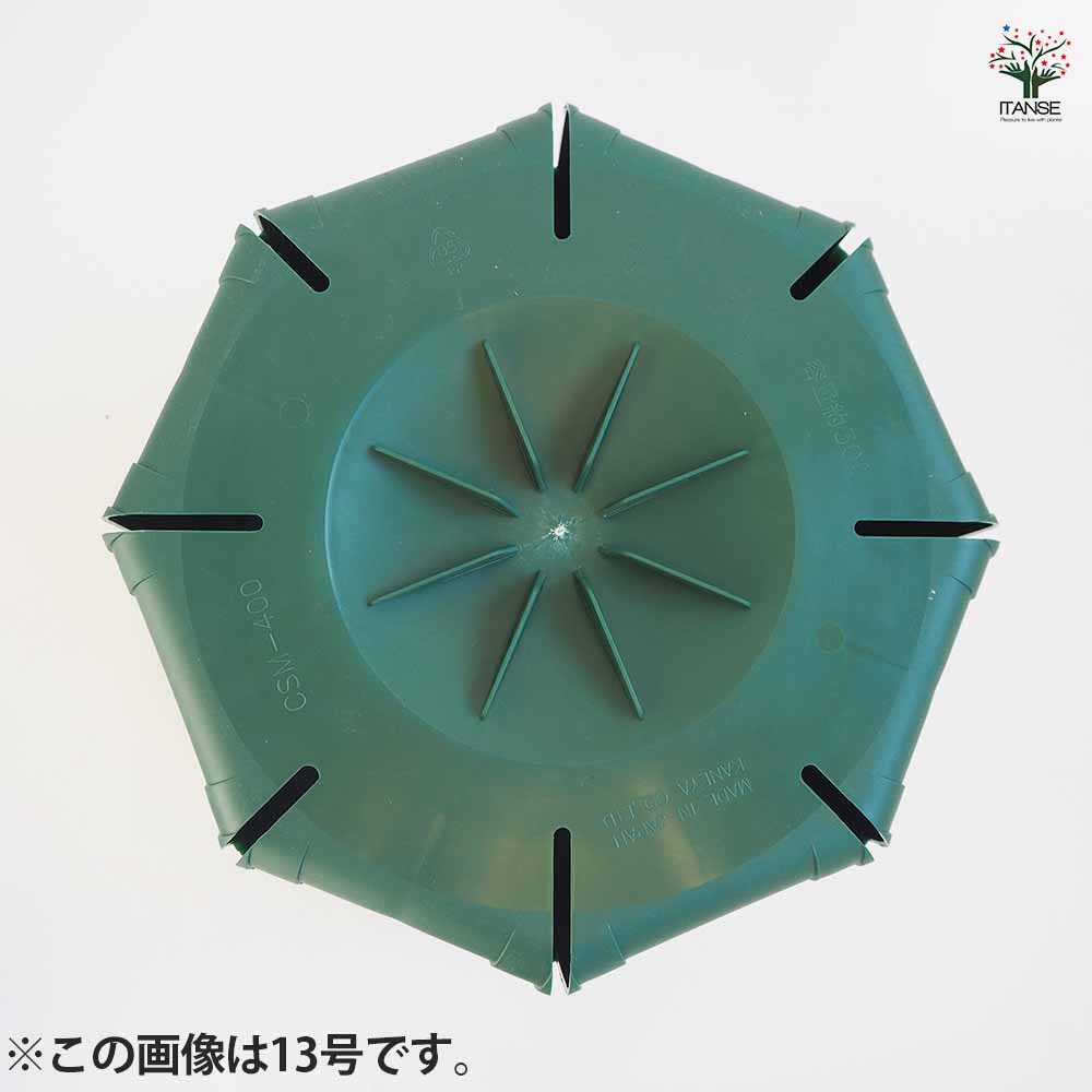 スリット鉢 大サイズ3種類セット 【資材 10～13号／各1個(合計3個