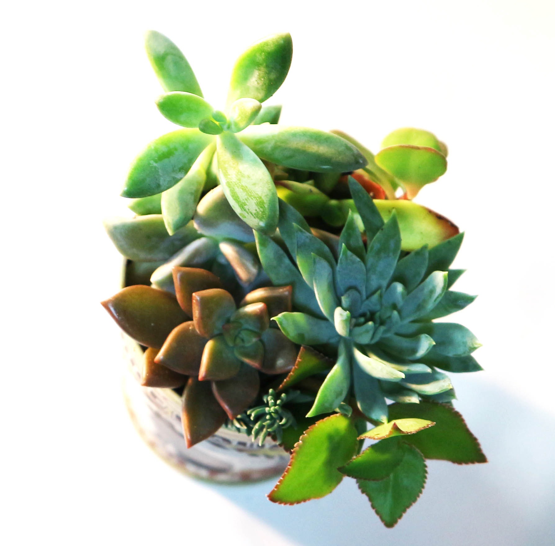 Itanse良品ｾﾚｸﾄ通販