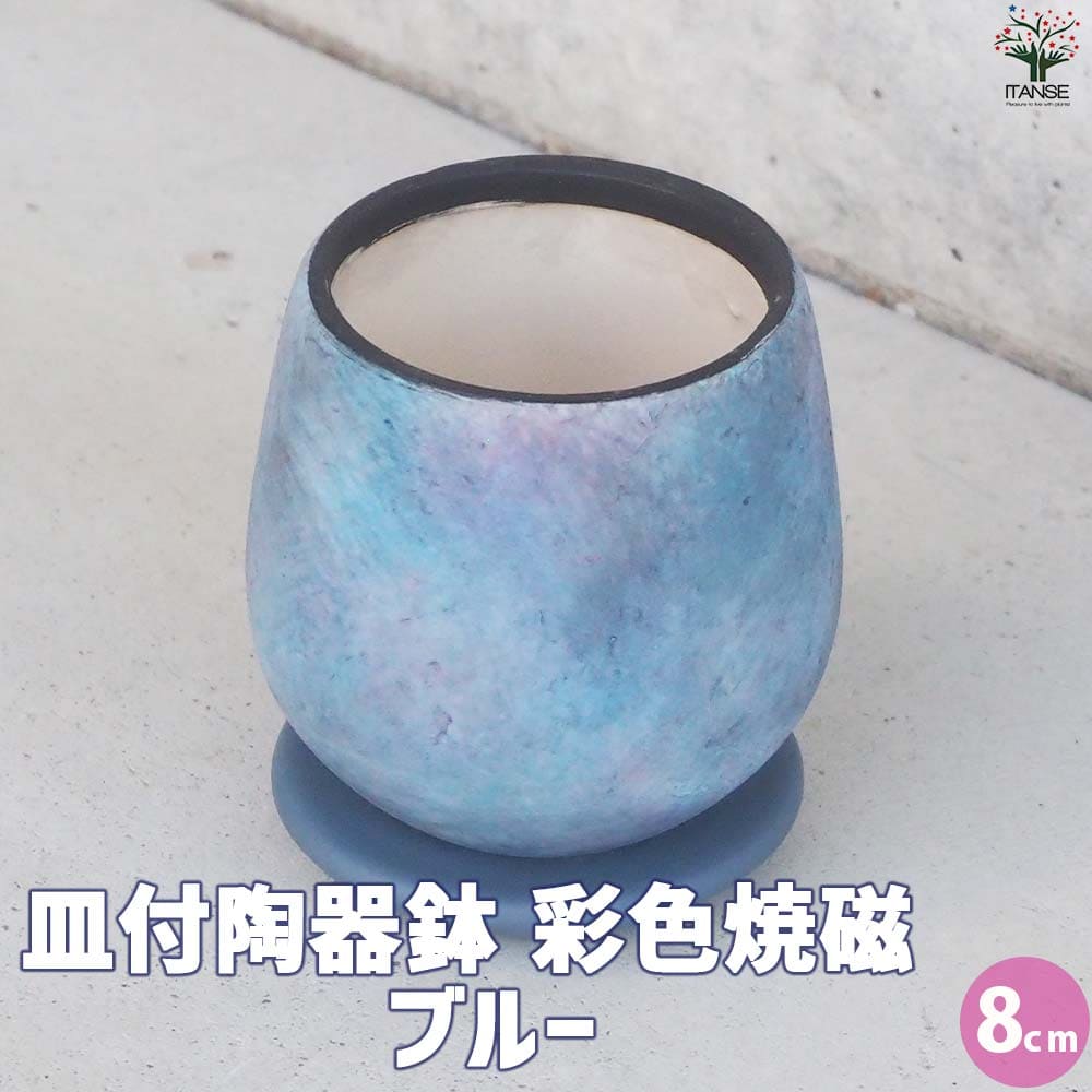 皿付陶器鉢 彩色焼磁 ブルー【資材 8cm】