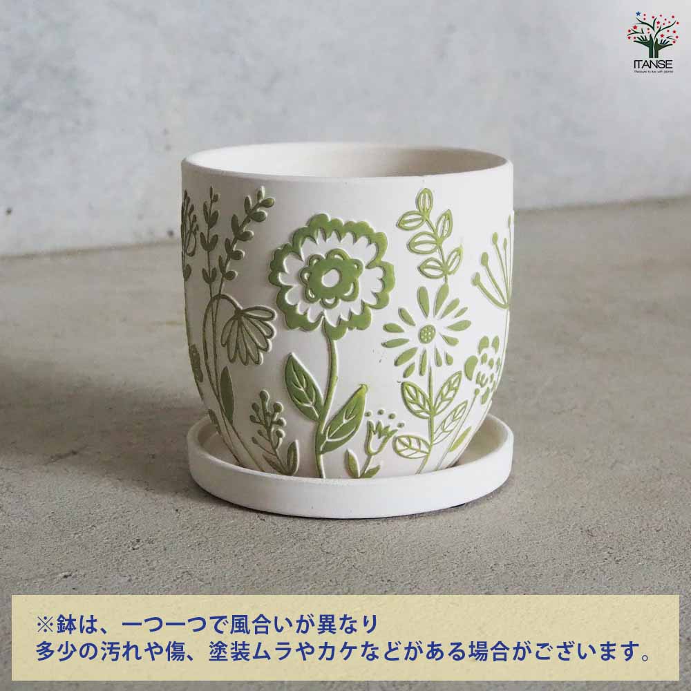 陶器鉢 フロリアーヌ B セラミックポット グリーン 【陶器鉢 ／1個売り