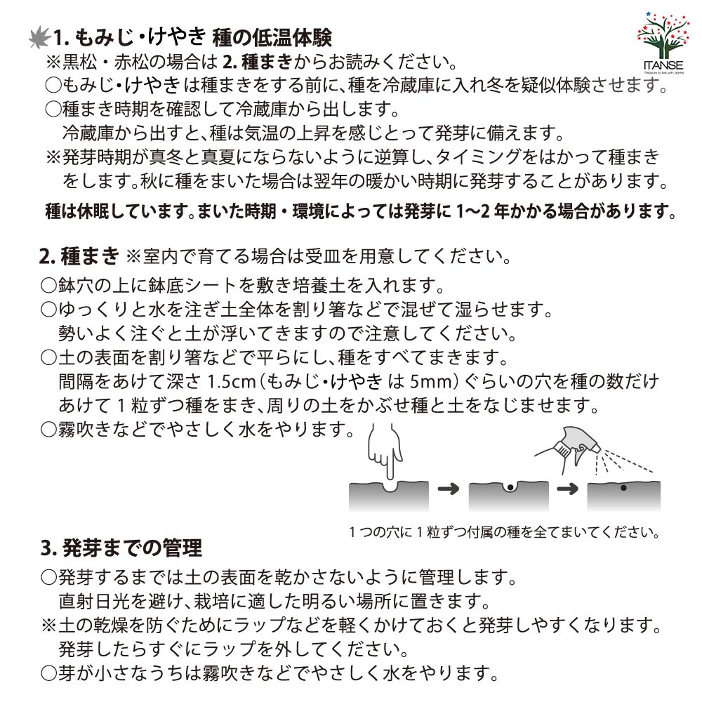 栽培セット 育てるカプセルまめ盆栽｜ 【植物のITANSE】全品送料