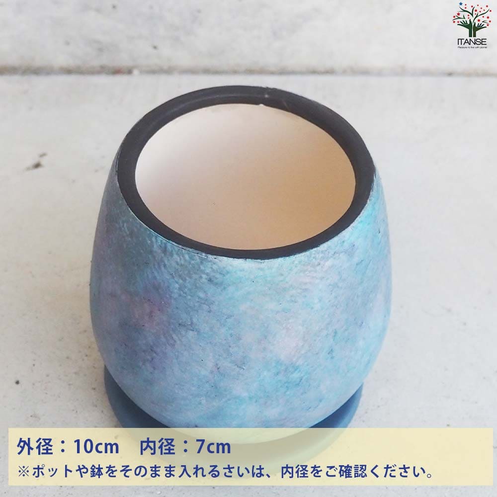皿付陶器鉢 彩色焼磁 ブルー【資材 10cm】｜ 【植物の
