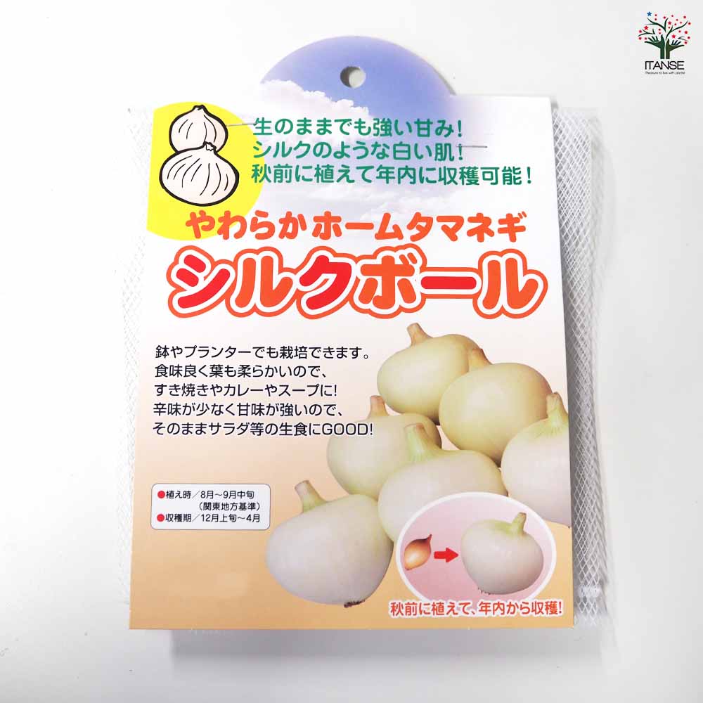 やわらかホームタマネギ シルクボール 【野菜球根 約15球／1個売り