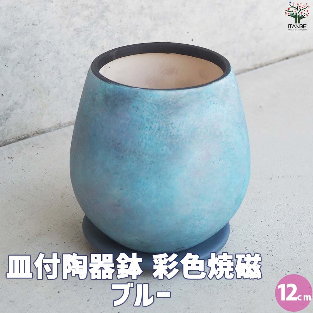 皿付陶器鉢 彩色焼磁 ブルー【資材 12cm】