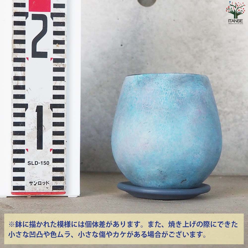 皿付陶器鉢 彩色焼磁 ブルー【資材 12cm】
