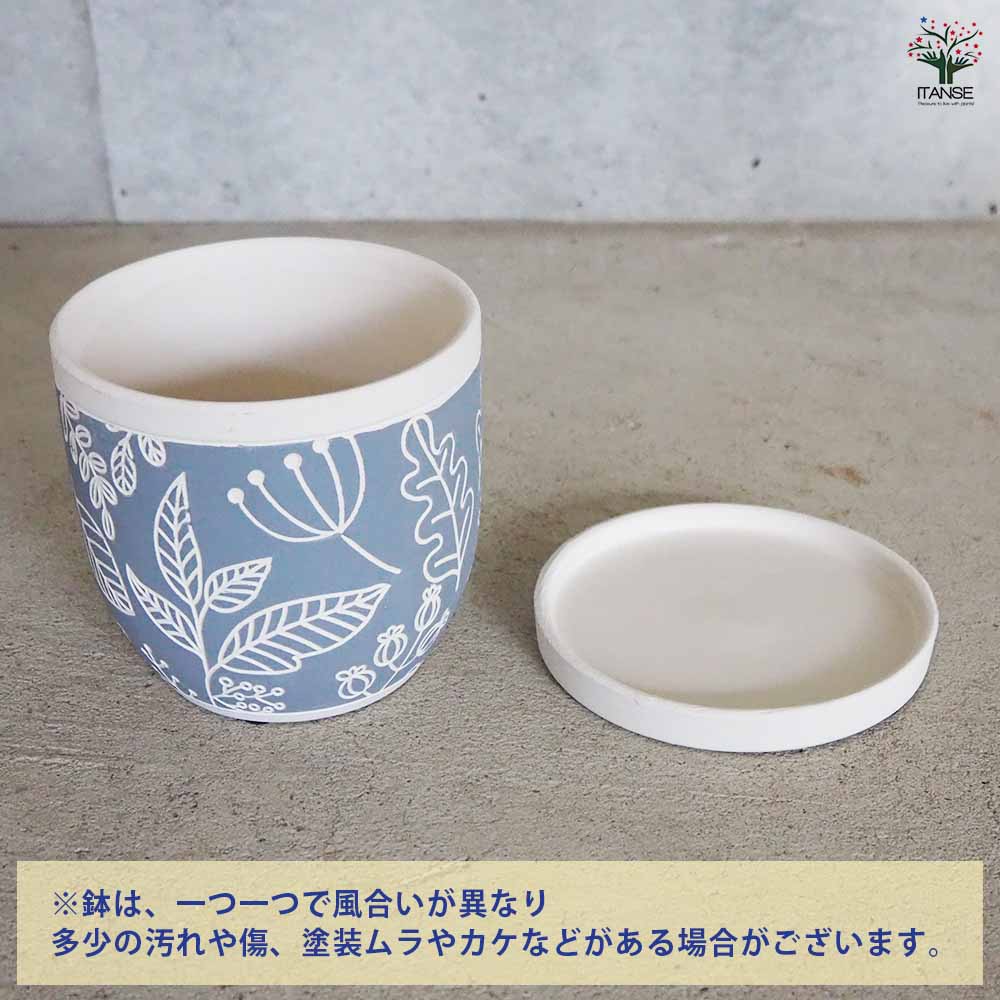 bon25　コミフォラ　品種不明　陶器鉢　作家鉢 fuclay / FUCLAY black / fb3_10_s / 約 φ10.8cm / 植木鉢