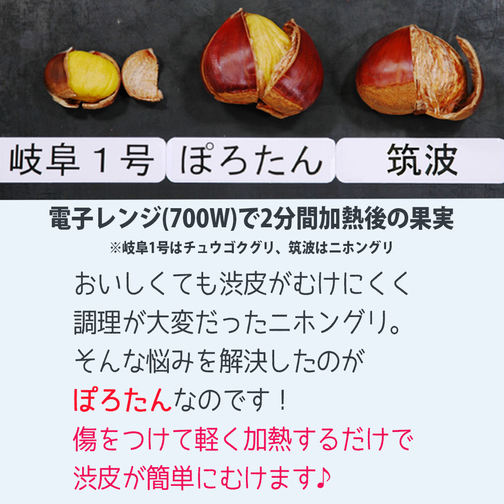 ぽろたん Amazon.co.jp: 