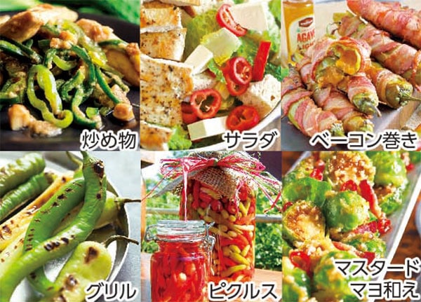 旨甘すずなりとうがらし【BN硬質18cmポット自根苗／肥料付】