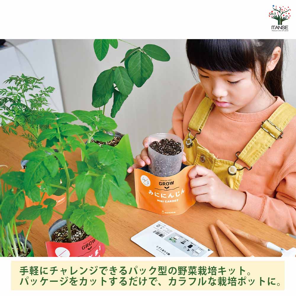 ベジパック 【選べる4種類 】｜ 【植物のITANSE】全品送料無料