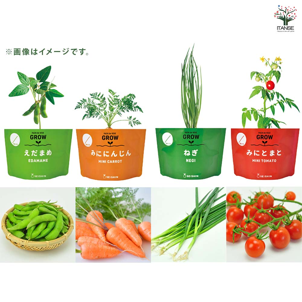 ベジパック 【選べる4種類 】｜ 【植物のITANSE】全品送料無料