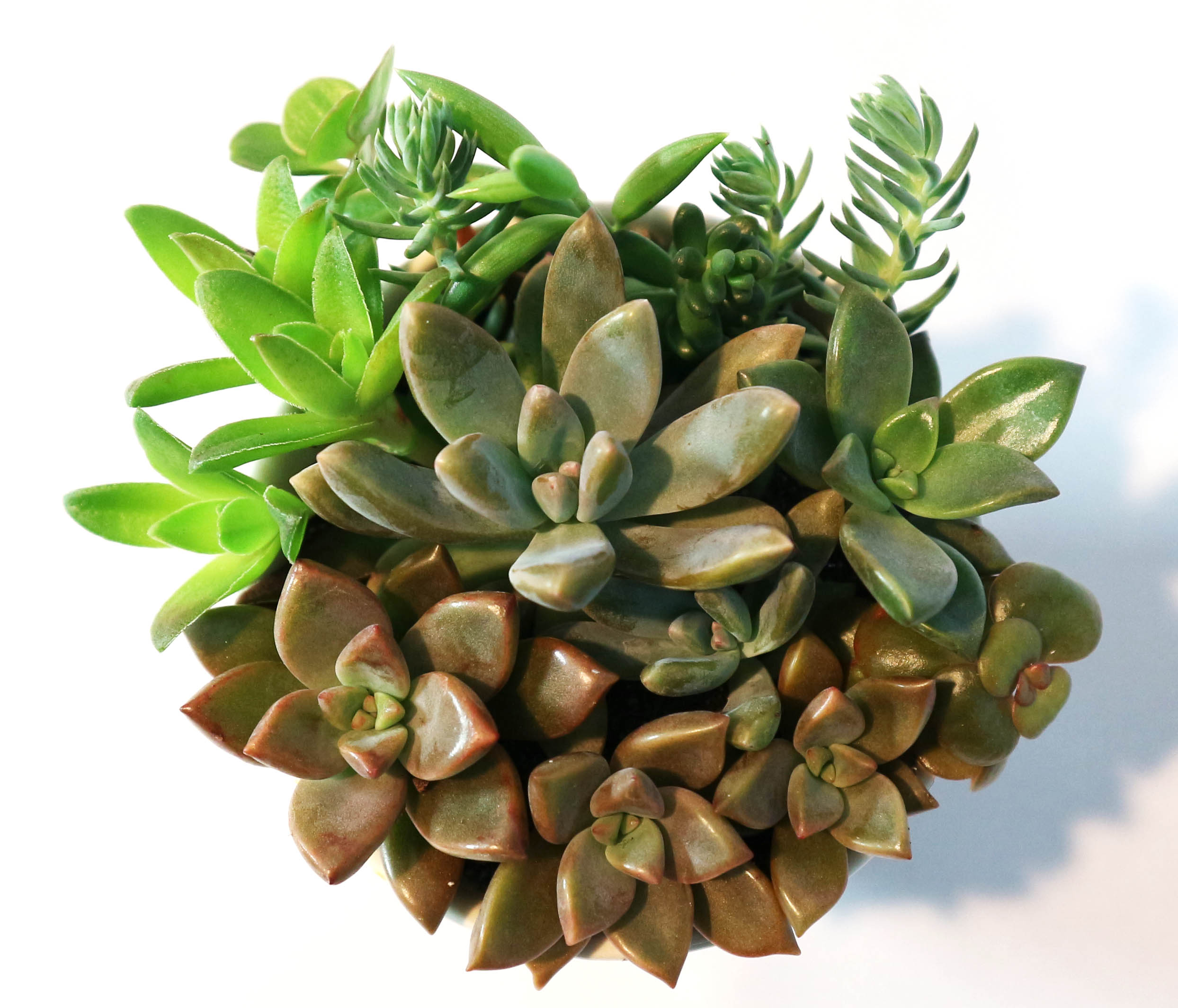 Itanse良品ｾﾚｸﾄ通販