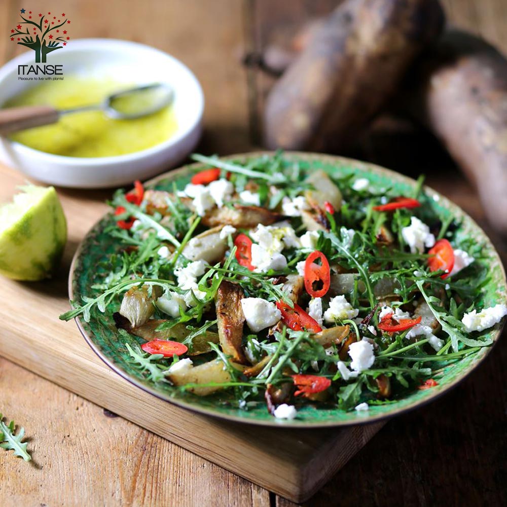 ヤーコンの苗 健康野菜の苗【野菜の苗 3.5号ポット／2個～】