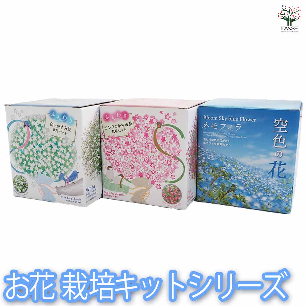 栽培セット お花シリーズ｜ 【植物のITANSE】全品送料無料・即出荷!