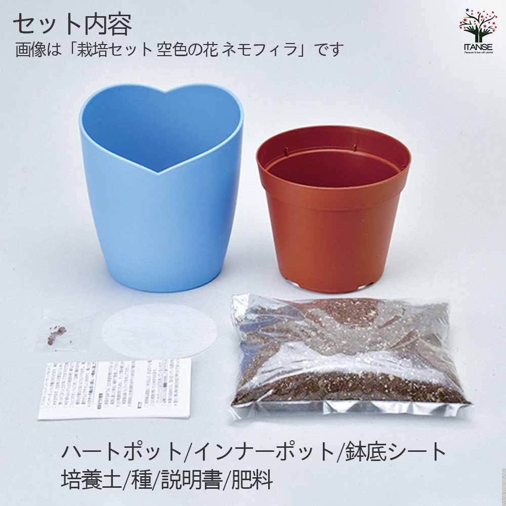 栽培セット お花シリーズ