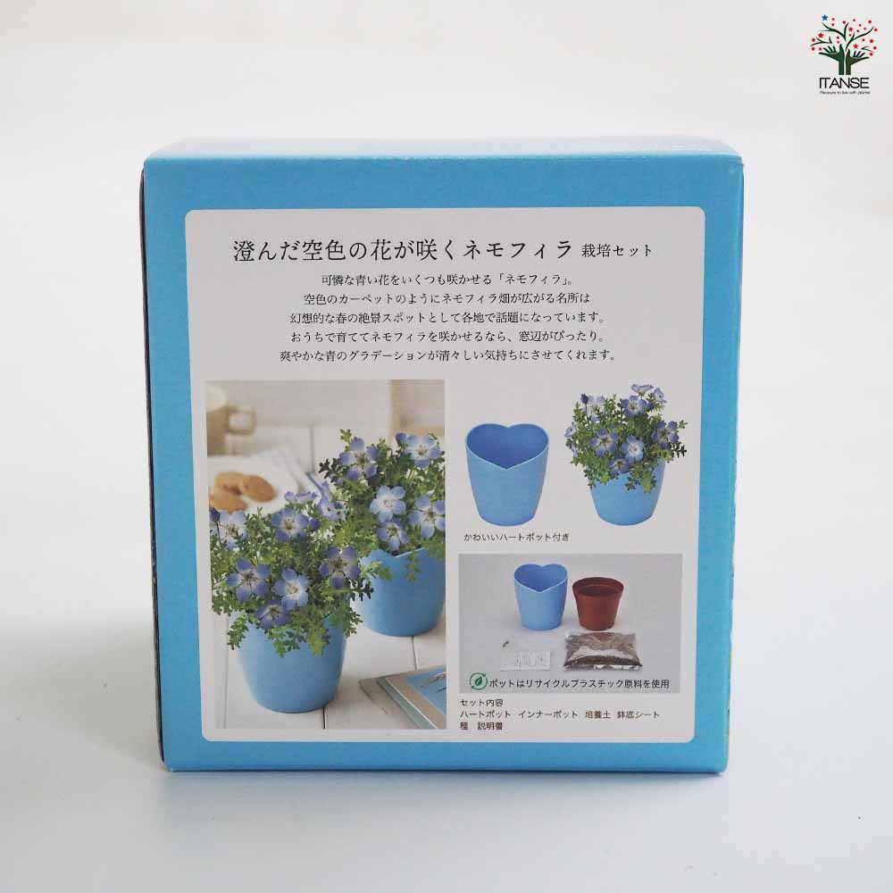 ヴィンテージ調子 秘密の花園 植物 メモ 4種類セット ヴィンテージ調子 秘密の花園 植物 メモ 4種類セット