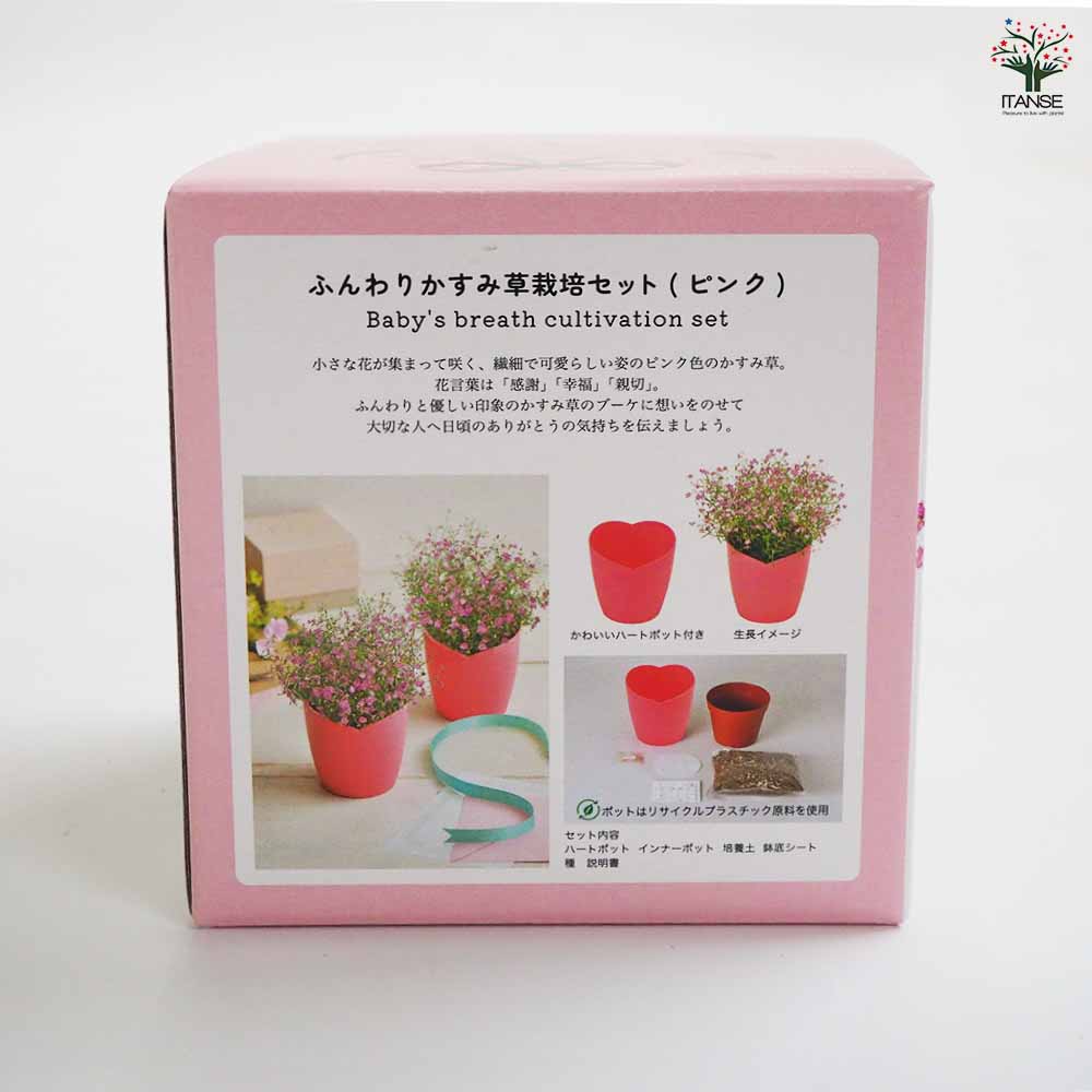 栽培セット お花シリーズ｜ 【植物のITANSE】全品送料無料・即出荷!