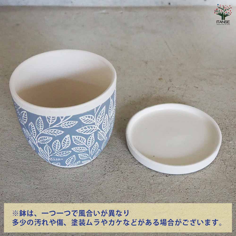 陶器鉢 ニューセラ リーフ A セラミックポット ブルー 【陶器鉢 ／1個