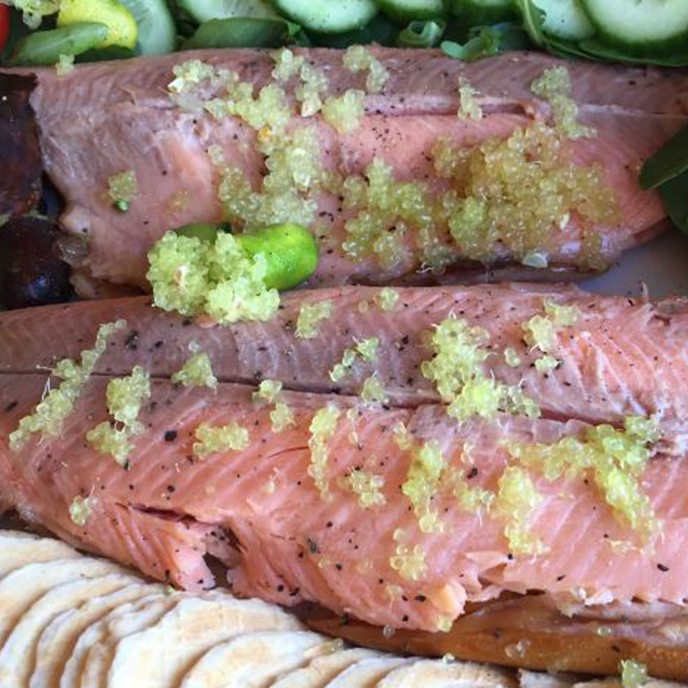 フィンガーライム グリーン【果樹苗 5年生 接木苗 24cmポット／1