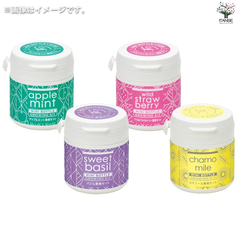 栽培セット ミニボトルハーブス バジル 【1個売り】｜ 【植物の