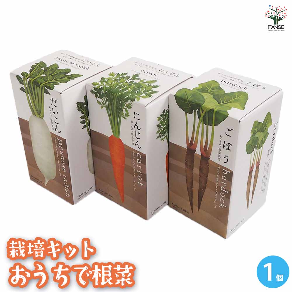 栽培セット おうちで根菜｜ 【植物のITANSE】全品送料無料・即出荷!