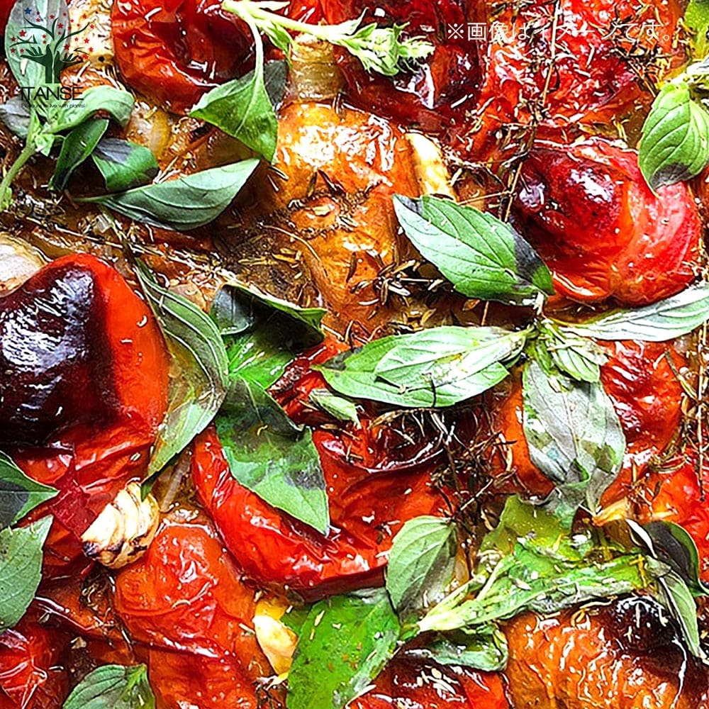 レモンバジル 2個～【ハーブの苗 9cmポット】