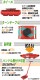����̵�� �ޥ�������顼 �Ѳٽ���15t �ݥꥦ�쥿�����ۥ����� 4�� 4�楻�å� 360�� ������ơ��֥� ��ž�� ���¥����顼 ���¥ޥ�������顼 ����ʪ �㾲 �ݡ����� �� ������ ���쥿������顼 ���� �½� ���¼� ��� ����꡼ �ޥ����� �����顼 ���� ��å� roller15tp4