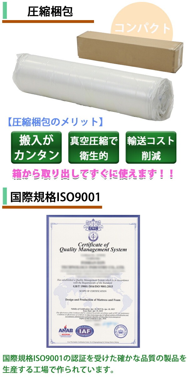 ����̵�� �ѥͥ� 2�ʥ٥å� ���ʥ٥å� ���顼���� ��Ŭ�ޥåȥ쥹�դ� 2�� ���ߥ��󥰥�٥åɥޥåȥ쥹 ���ߥ��󥰥� �ޥåȥ쥹 ������13cm ���� ����ѥ��� �ݥꥦ�쥿��ե����� ���쥿�� ���ߥ��󥰥�ޥå� ��������٥å� �ѥ��ץ٥å� �٥å� ���� bed052b007ss2p