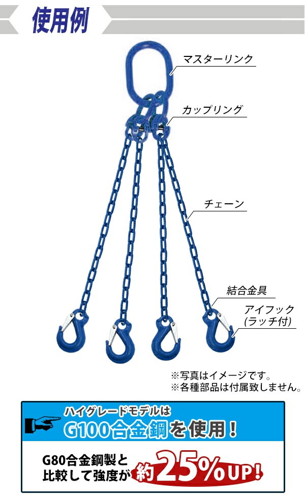 ̵ åץ Ѳٽ10t 10000kg G100 ¤ ϥ졼ɥǥ åץ󥰥 󥫥åץ ϥåץ ͥƥ󥰥 åץ Ĥʤ ߤ  󥹥  磻䡼   clink10tg100b