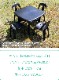 ����̵�� �����ǥ������ �����ǥ�ơ��֥� 5�����å� UV���å� ���٤�7���顼 �����ǥ󥻥å� �ݥ�ץ��ԥ���� PP �����ǥ�ơ��֥�&��������4�� ���̤ǻ������Ӵ�ñ �����ǥ�ե��˥��㡼 �����ǥ� �ơ��֥� b13chb10tbl5set